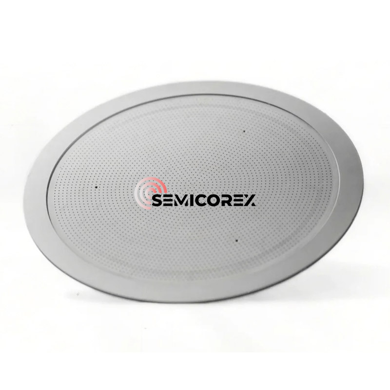 CVD SiC душ глави